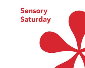 Sensory Saturday